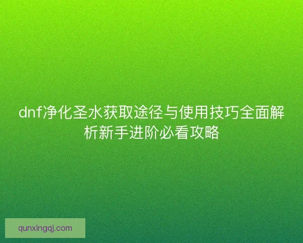 dnf净化圣水获取途径与使用技巧全面解析新手进阶必看攻略